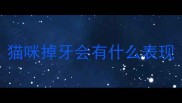 猫咪掉牙会有什么表现
