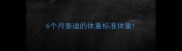 6个月泰迪的体重标准体重
