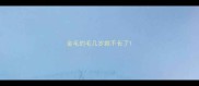金毛的毛几岁就不长了