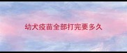 幼犬疫苗全部打完要多久