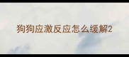 狗狗应激反应怎么缓解