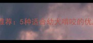 小拉布拉多大骨头推荐5种适合幼犬啃咬的优质骨类及喂养指南