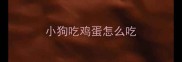 小狗吃鸡蛋怎么吃