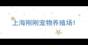 上海刚刚宠物养殖场