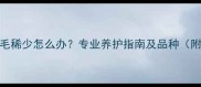 金毛串串毛稀少怎么办专业养护指南及品种附对比图