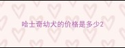 哈士奇幼犬的价格是多少