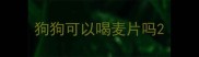 狗狗可以喝麦片吗