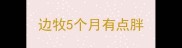 边牧5个月有点胖
