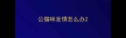 公猫咪发情怎么办
