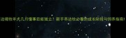边境牧羊犬几月懂事后能独立新手养边牧必看的成长阶段与饲养指南