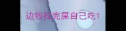 边牧拉完屎自己吃