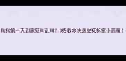 狗狗第一天到家狂叫乱叫3招教你快速安抚拆家小恶魔
