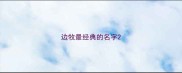 边牧最经典的名字