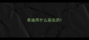 泰迪用什么驱虫药