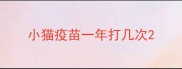 小猫疫苗一年打几次
