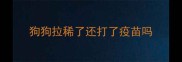 狗狗拉稀了还打了疫苗吗