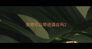 宠物可以带进酒店吗