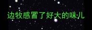 边牧感冒了好大的味儿