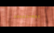 拉布拉多苏州哪里买