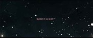 猫咪的大臼齿掉了
