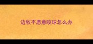 边牧不愿意咬球怎么办