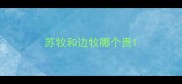 苏牧和边牧哪个贵