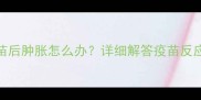 狗狗注射狂犬疫苗后肿胀怎么办详细解答疫苗反应及紧急处理指南
