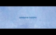 宠物猫的胡子能剪吗