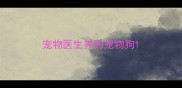 宠物医生养的宠物狗