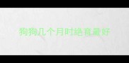 狗狗几个月时绝育最好