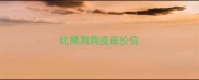 比熊狗狗疫苗价位