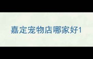 嘉定宠物店哪家好