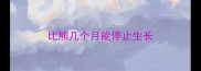 比熊几个月能停止生长