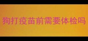 狗打疫苗前需要体检吗