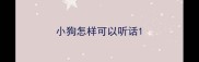 小狗怎样可以听话