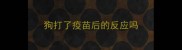 狗打了疫苗后的反应吗