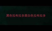 黑色拉布拉多跟白色拉布拉多