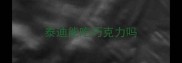 泰迪能吃巧克力吗