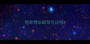 抱宠物坐副驾可以吗