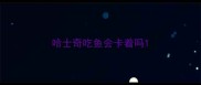 哈士奇吃鱼会卡着吗