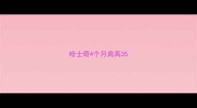 哈士奇4个月肩高35