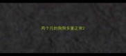 两个月的狗狗多重正常