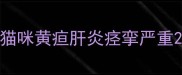猫咪黄疸肝炎痉挛严重