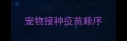 宠物接种疫苗顺序