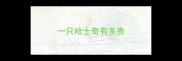 一只哈士奇有多贵