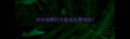 深圳宠物狂犬疫苗免费地址