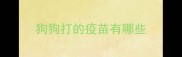 狗狗打的疫苗有哪些