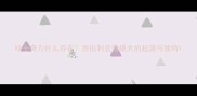 哈士奇为什么存在西伯利亚雪橇犬的起源与独特