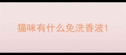 猫咪有什么免洗香波