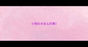小狗吐水怎么回事